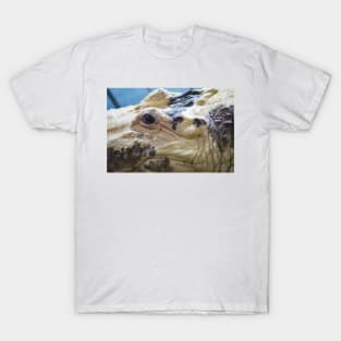 Albino Alligator T-Shirt